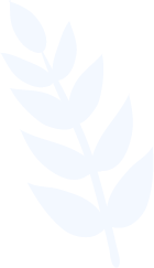 Decoración natural hoja verde